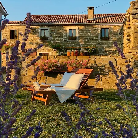 Apartma Dora, Sirci Apartamento *